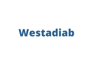 ويستادياب 25 مجم اقراص Westadiab tablets